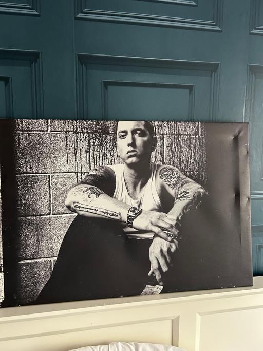 Buy & Sell Mottingham South East London - Photos for Large Eminem canvas