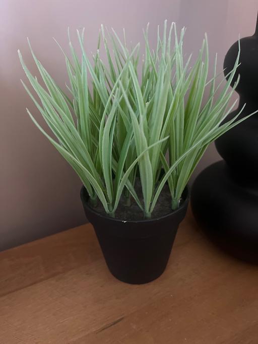Buy & Sell Conisbrough Doncaster - Photos for Artificial plant in black pot