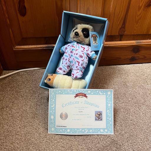 Buy & Sell Haydock Saint Saint Helens - Photos for Compare the market collectible meerkat - oleg
