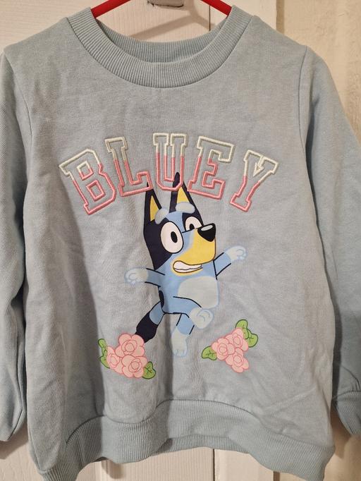 Buy & Sell Blythe Bridge Stoke-on-Trent - Photos for bluey jumper girls