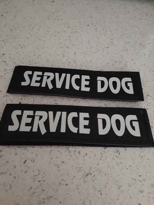 Buy & Sell South Hylton Sunderland - Photos for new dog harness signs