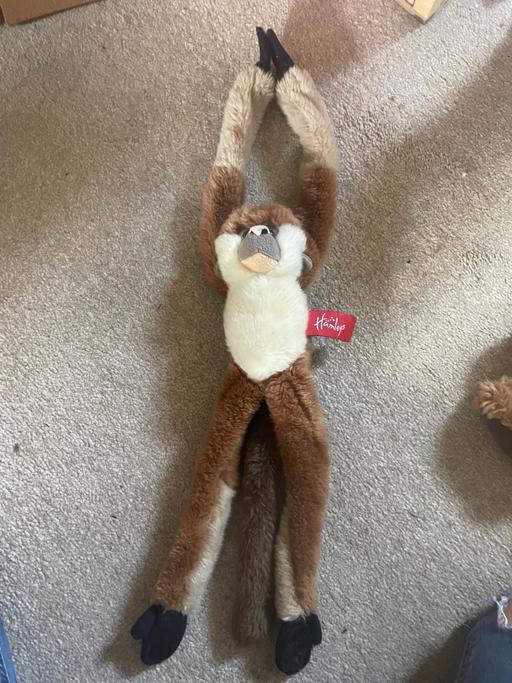 Buy & Sell Ynysddu Caerphilly - Wales - Photos for Hamleys stuffed monkey