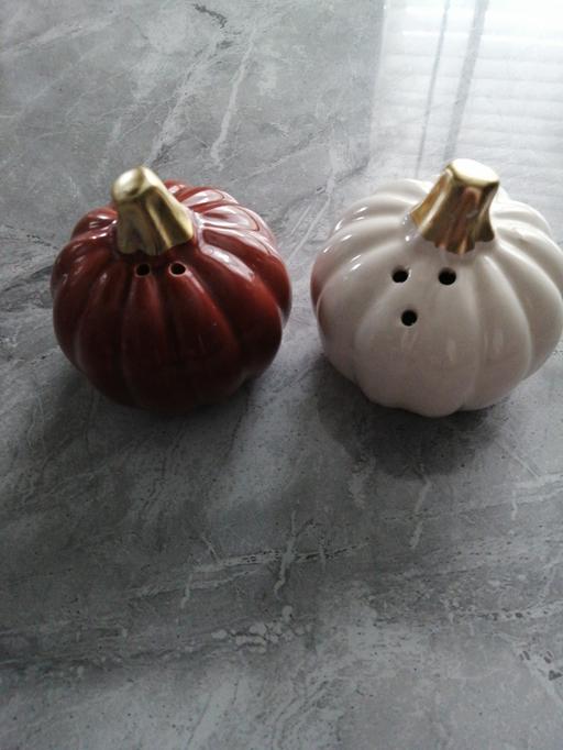 Buy & Sell Wednesfield Wolverhampton - Photos for salt & pepper pumpkins