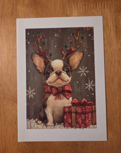 Classes Garlinge Thanet - Photos for DOG XMAS CARD