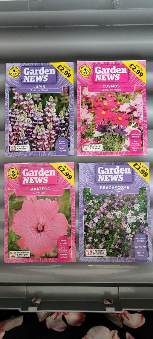 Buy & Sell Great Houghton Barnsley - Photos for 4 packets of seeds