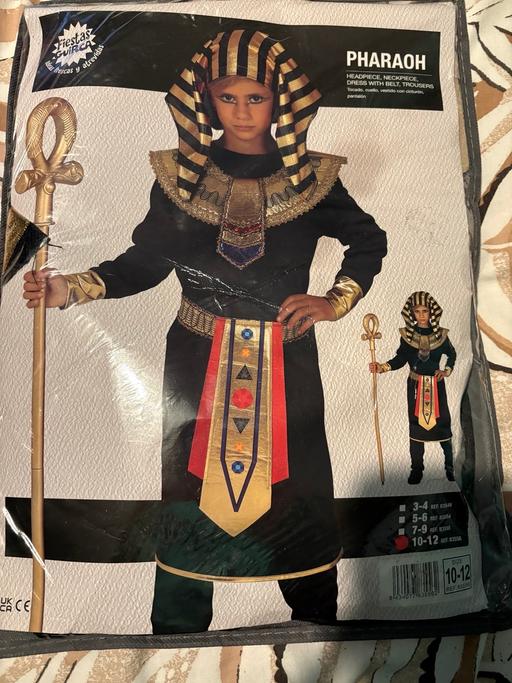 Buy & Sell Lawrence Weston Bristol - Photos for Children fancy dress