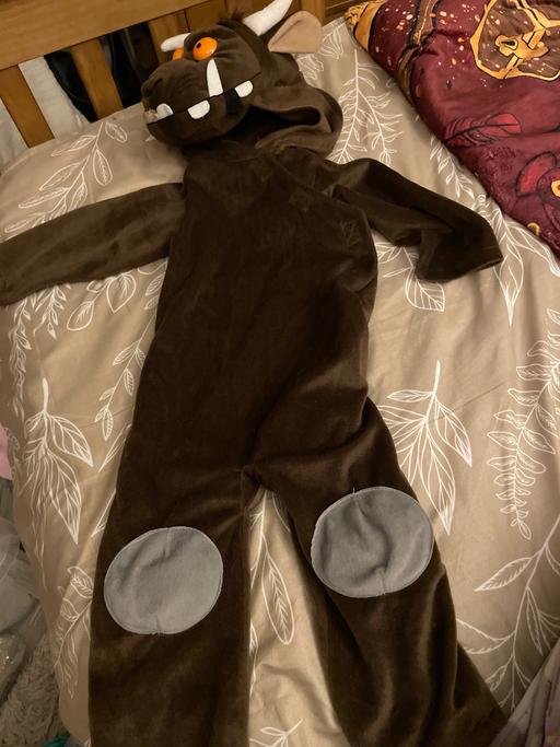 Buy & Sell Rowley Village Sandwell - Photos for Gruffalo age 1-2 years dress up costume