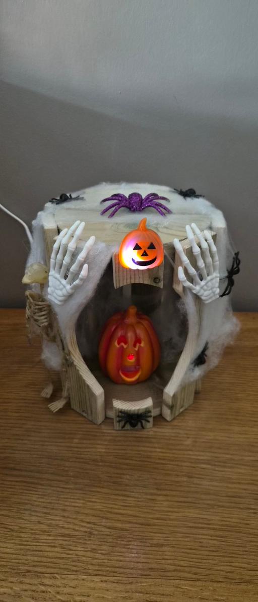 Buy & Sell Moseley Village Wolverhampton - Photos for halloween light up decoration