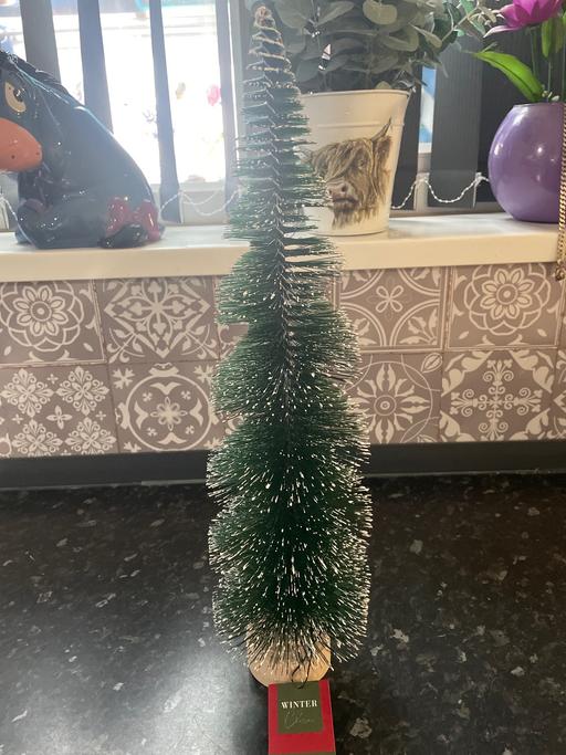 Buy & Sell Bordesley Green Birmingham - Photos for Bristle tree