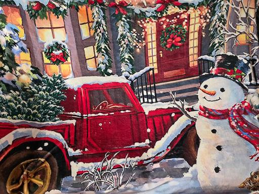 Buy & Sell Blackpool Town Centre Blackpool - Photos for XL Christmas blanket