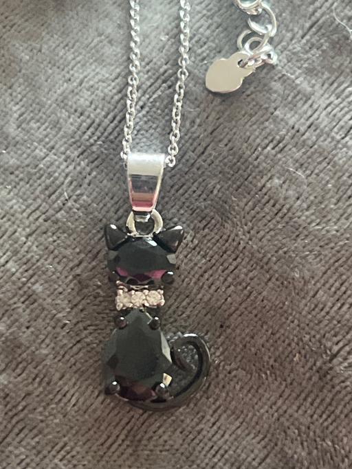 Buy & Sell Ovingdean Brighton - Photos for Lovely cat necklace