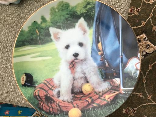 Buy & Sell Essington Wolverhampton - Photos for Collectors plate