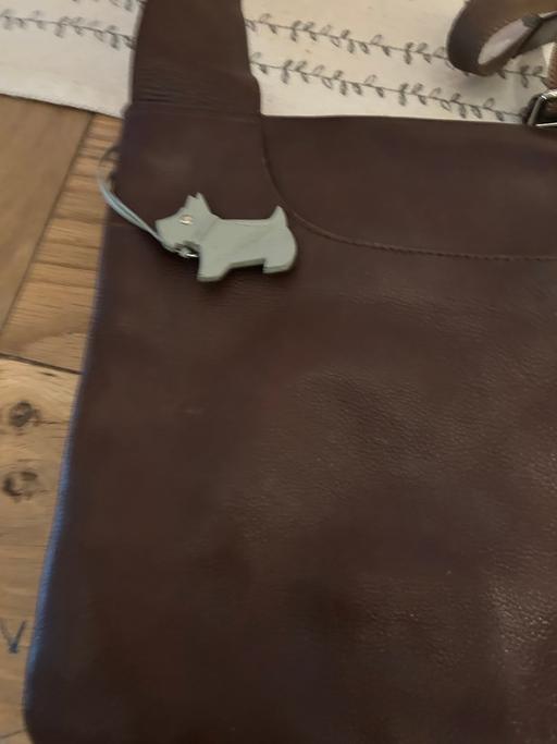 Buy & Sell Balsall Heath Birmingham - Photos for RADLEY bag