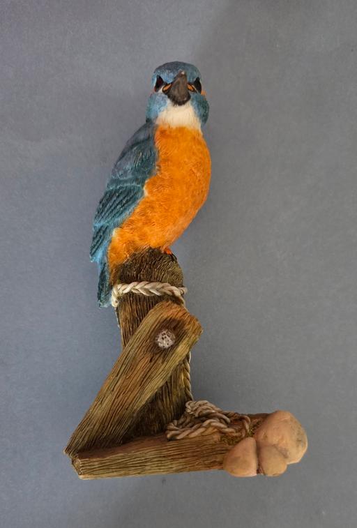 Buy & Sell Westgate-on-Sea Thanet - Photos for KING FISHER BIRD ON BRANCH.