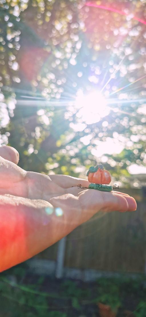 Buy & Sell Wylde Green Birmingham - Photos for 🎃Halloween Tiny Pumpkin Decoration