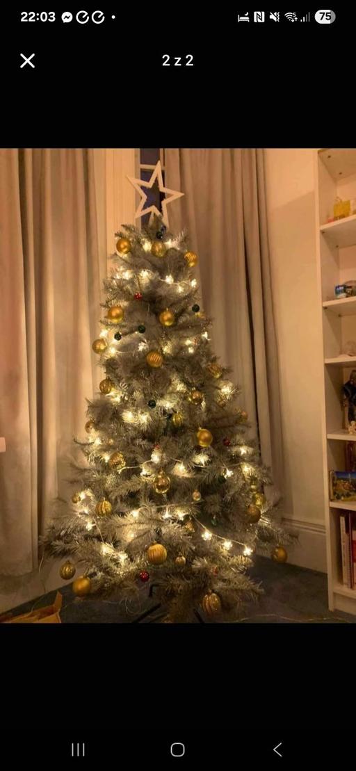 Buy & Sell Winchmore Hill North London - Photos for christmas tree