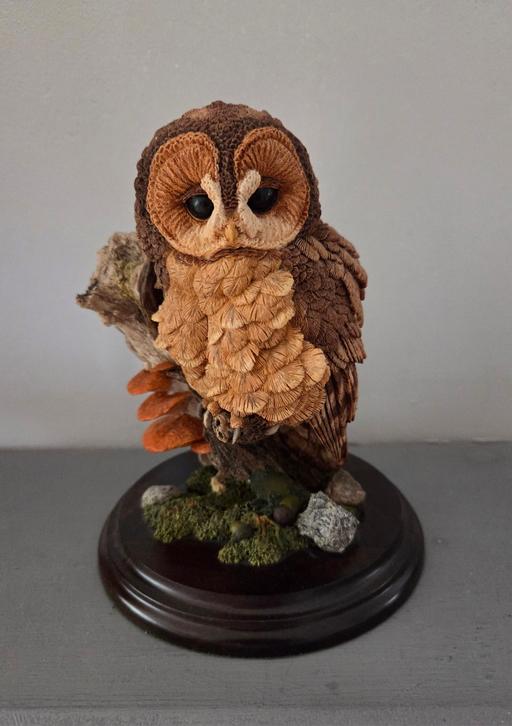 Buy & Sell Westgate-on-Sea Thanet - Photos for LARGE TAWNY OWL