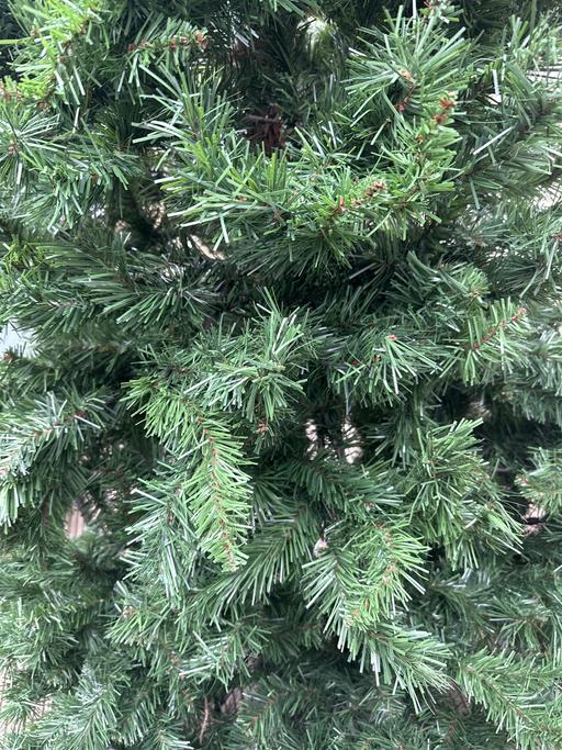 Buy & Sell Billericay Basildon - Photos for Christmas tree