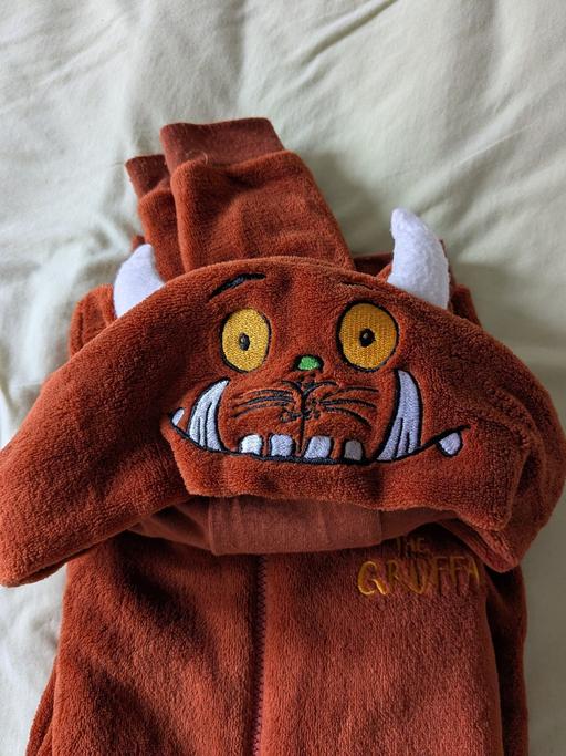Buy & Sell Fagley Bradford - Photos for Gruffalo onesie 3-4 years