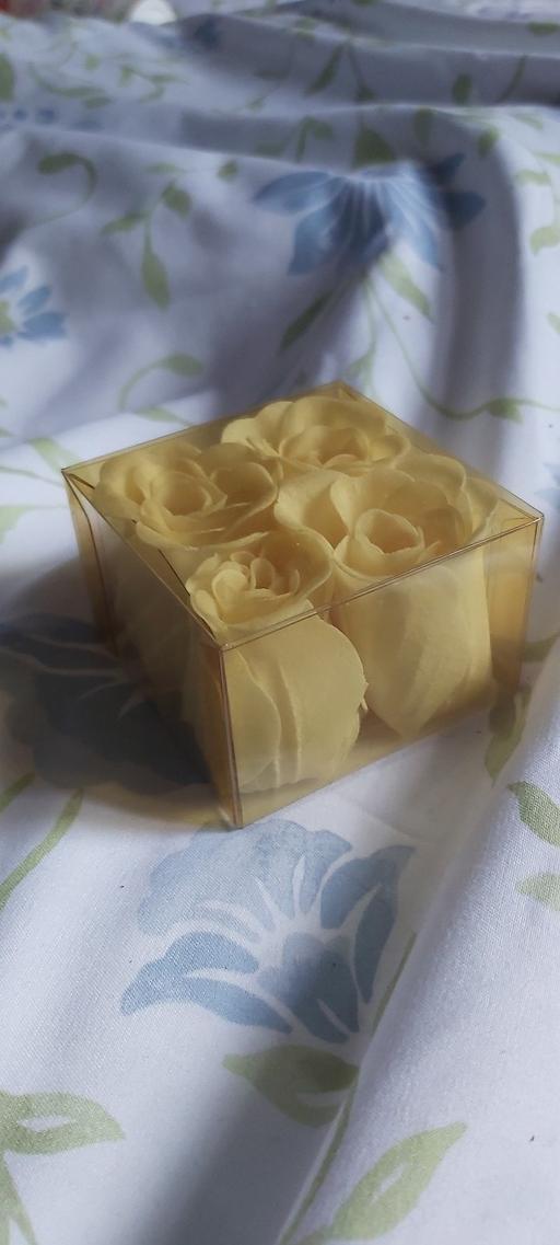 Buy & Sell Asfordby Hill Melton - Photos for 4 x bath Roses 🌹 🌹🌹🌹