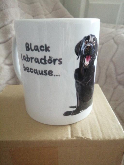 Buy & Sell Heath Town Wolverhampton - Photos for New dog mug in box