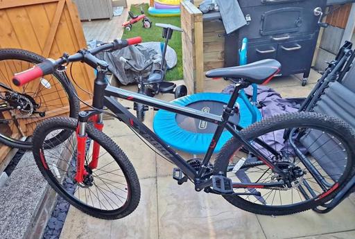 Buy & Sell Tividale Sandwell - Photos for team alloy mountain bike