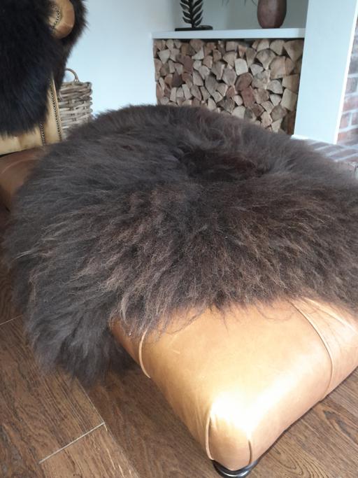 Buy & Sell Middlewich Cheshire East - Photos for Quality Sheepskin Rug
