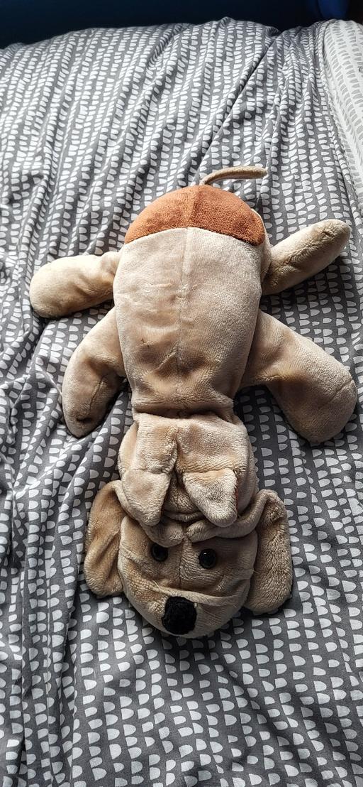 Buy & Sell Radcliffe Bury - Photos for soft toy dog