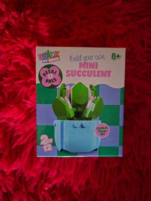 Buy & Sell Crumpsall Manchester - Photos for new Build Your Own Mini Succulent
