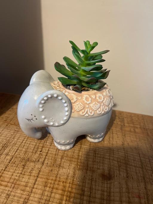 Buy & Sell Wickersley Rotherham - Photos for Pot elephant with fake plant