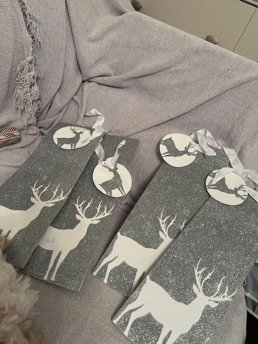 Buy & Sell Hetton-Le-Hole Sunderland - Photos for Raindeer Bottle Bags x 4 ( New )