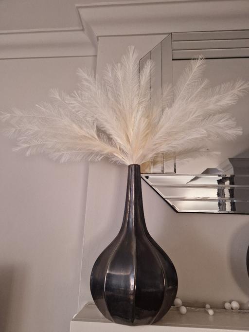 Buy & Sell Scholes Rotherham - Photos for XL black and feathers