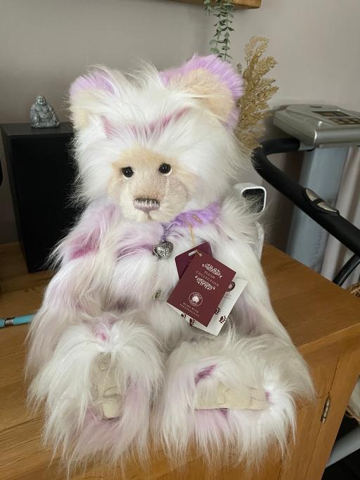 Buy & Sell Cookley Wyre Forest - Photos for Charlie Bear