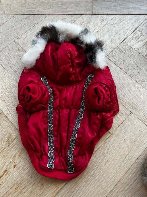 Buy & Sell Letchworth Garden City North Hertfordshire - Photos for Mini dog puffer jacket with real fur trim