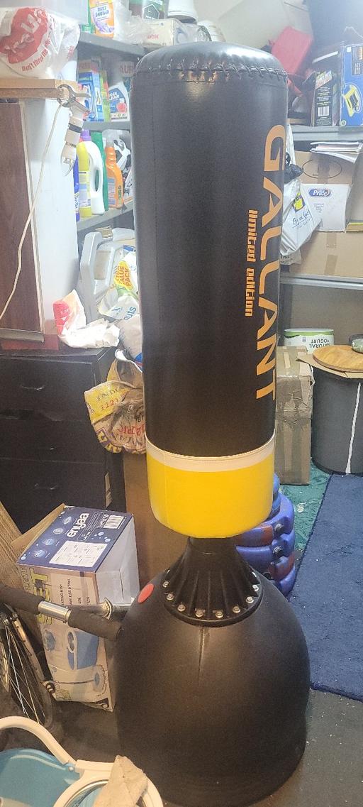 Buy & Sell Hayes Hillingdon - Photos for Boxing Punch Bag with Pair of Bixing Gloves