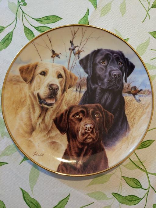 Buy & Sell Lambeth South East London - Photos for Wall Plate Limited Edition