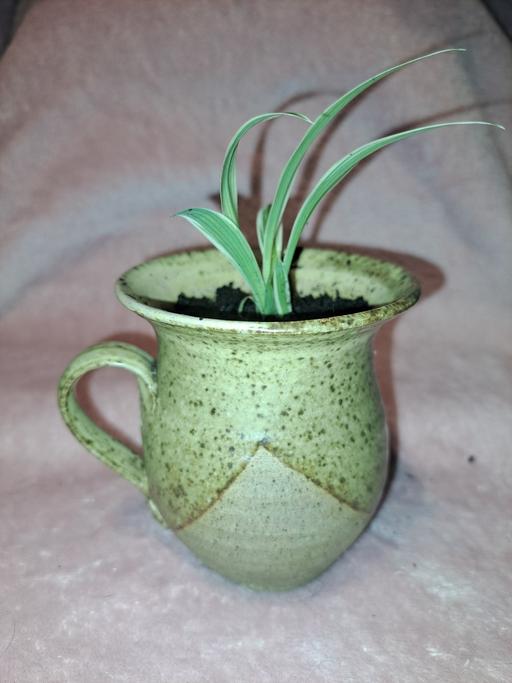 Buy & Sell Hillmorton Rugby - Photos for cute little potted plant mug.