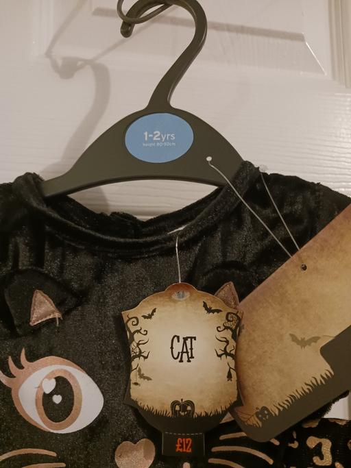 Buy & Sell Bartley Green Birmingham - Photos for Halloween