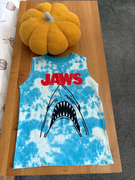 Buy & Sell Upper Gornal Dudley - Photos for Boys jaws vest