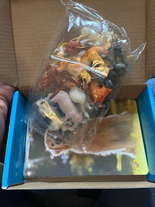 Buy & Sell Wednesfield Wolverhampton - Photos for New small animals and facts cards