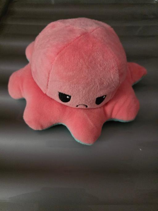 Buy & Sell Blackpool Town Centre Blackpool - Photos for Reversible octopus