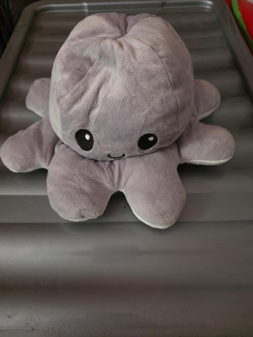 Buy & Sell Blackpool Town Centre Blackpool - Photos for Reversible octopus