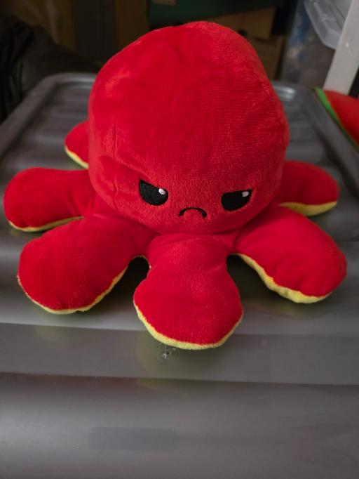 Buy & Sell Blackpool Town Centre Blackpool - Photos for Reversible octopus