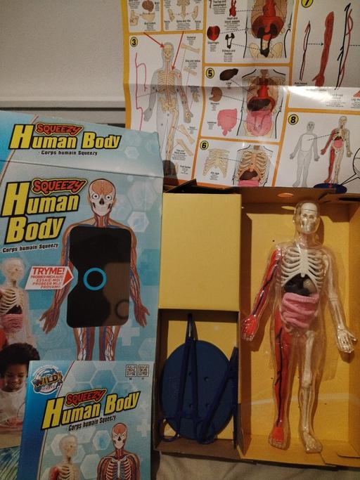 Buy & Sell Weoley Castle Birmingham - Photos for squeezy human body