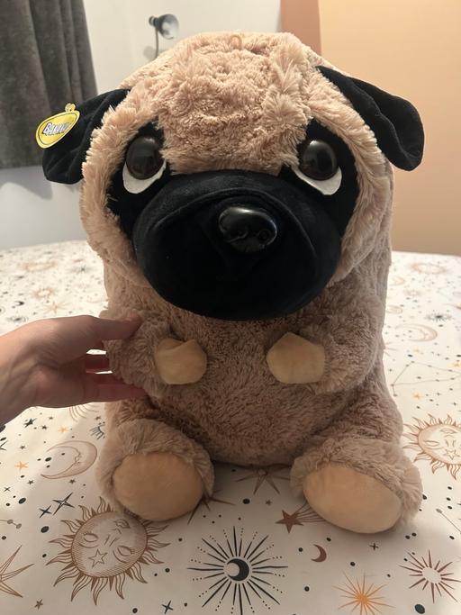 Buy & Sell Rednal Birmingham - Photos for Large pug plush