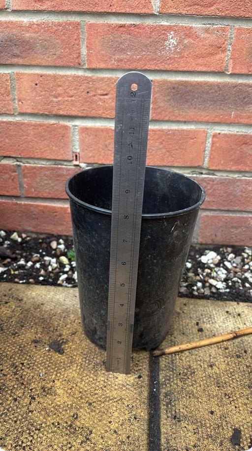 Buy & Sell Saltley Birmingham - Photos for 3 Litre Pots