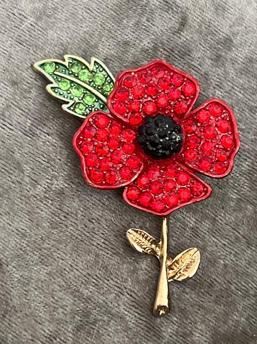 Buy & Sell Rottingdean Brighton - Photos for Lovely poppy brooch