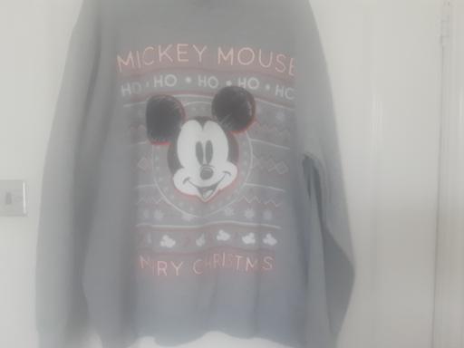Buy & Sell Bolton-Upon-Dearne Barnsley - Photos for ladies size s 16-18 Disney Christmas top