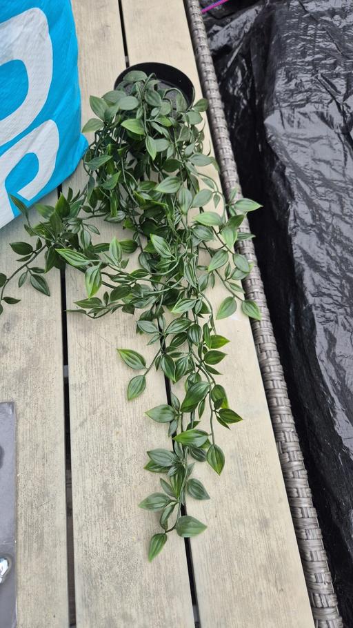 Buy & Sell Hackenthorpe Sheffield - Photos for hanging plant