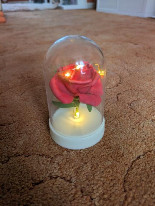 Buy & Sell Southend South East London - Photos for Beauty and The Beast Rose